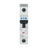 FAZ-C16/1 Wyłącznik nadprądowy 15kA C16A 1P 278561 EATON