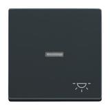 CARAT/FUTURE  Klawisz z symbolem „światło” Do przycisku zwiernego antracyt