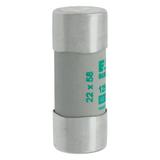 CYLINDRICAL FUSE 22 x 58 125A AM 400V AC Wkładka cylindryczna 22 x 58mm 125A AM 400V AC C22M125 EATO