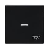 FUTURE Klawisz z symbolem „światło” Do przycisku zwiernego czarny matowy