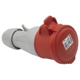 P17 Tempra Pro Gniazdo Przenośne 32A 3P+Z 400V IP44 555218 LEGRAND