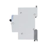 Wyłącznik Różnicowo-Nadprądowy 2P 10A B 0,03A Typ AC P312 DX3 410919 LEGRAND