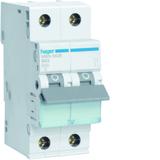 MCB Wyłącznik nadprądowy 6kA 1P+N B63A MBN563E HAGER