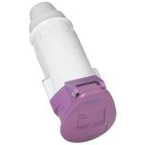 P17 GNIAZDO PRZENOŚNE 16 A/24 V/2P IP44, Legrand