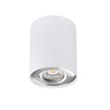 BORD DLP-50-SR/W Oprawa sufitowa natynkowa BORD DLP-50-SR/W regulowana kolor biały / srebrny 1XGU10 22559 KANLUX