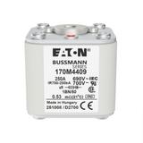 FUSE 250A 690V 1BN/50 AR UC Wkładka szybka 250A AC 690V rozmiar 1 53x69x51 mm aR IEC UL w 170M4409 E