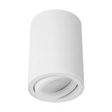 Oprawa sufitowa BEMOL DWL GU10 WHITE biała 03537 IDEUS