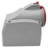 P17 TEMPRA PRO GNIAZDO STAŁE 32A 3P+N+Z 400V IP44, Legrand