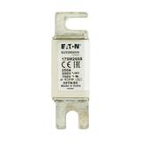 250A 690V aR 00TN/80 TYPE T IND. FUSE Wkładka szybka 250A AC 690V DIN 00 aR DIN IEC nieizol 170M2668