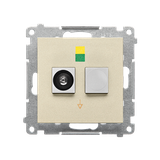 Simon 55 Gniazdo ekwipotencjalne pojedyncze Szampański mat