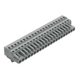 Gniazdo MCS‑MIDI Classic 21‑biegunowe szare raster 5mm 231‑121/008‑000 /10szt./ WAGO