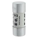 100A 600V 22X58 INDICATED 22 X 58MM 100A 700V 22X58 cylindryczna do półprzewodników wybijak 22 X 58M