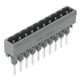 MCS-MIDI Classic wtyk 10-bieg. szary raster 5 mm /100szt./ WAGO