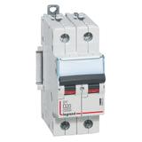 Wyłącznik Nadprądowy S 312 2P D20A 10000A DX3 409452 LEGRAND