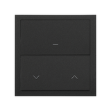 Simon 100 Panel 1-krotny: iO 1 klawisz Master+1 klawisz roletowy Master czarny mat