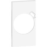 Living Now - Plakietka Gniazda 2P+Z + Usb - 2 Moduły - Biel Bticino KW62 LEGRAND
