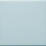 tehalit.WA Klawisz do łącznika 1-klawiszowego PC-ABS bezhalogenowy lakie alu