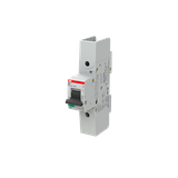 S801S-B40-R Wyłącznik nadprądowy 50kA 1P B40A 2CCS861002R0405 ABB