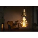 Lampa LED Vintage 1906 CL DIAMOND Filament szkło przezroczyste GOLD 40 non-dim 4,5W 825 E27