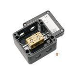 KLIPPON POK1 M16BCSS EX Szafa/obudowa przeciwwybuchowa WEIDMULLER