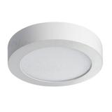 CARSA V2LED 12W-NW-W