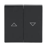 CARAT/FUTURE  Klawisz z nadrukiem Do wyłącznika/przycisku żaluzjowego antracyt