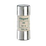 WKŁADKA BEZPECZNIKOWA CYLINDRYCZNA Z SYGNALIZACJĄ AM 50A 22X58 HPC, Legrand