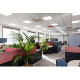 Oprawa PANEL D I 1200 ZIGBEE 36W 4000K UGR19