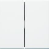 tehalit.WA Klawisze do łącznika 2-klawiszowego PC-ABS bezhalogenowy biały