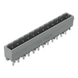 MCS-MIDI Classic wtyk 12-bieg. szary raster 5 mm