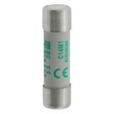 CYLINDRICAL FUSE 14 x 51 1A AM 690V AC Wkładka cylindryczna 14 x 51mm 1A AM 690V AC C14M1 EATON
