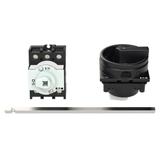 P1-25/M4/SVB-SW Rozłącznik główny 3P 25A przedłużka metalowa 400mm 172876 EATON