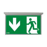 NexiTech LED opal szyba strzałka w dół / strzałka w dół 30m ISO7010 NEXI-PLEXO-DD EATON