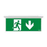 NexiTech LED szyba strzałka w dół / strzałka w dół 20m ISO7010 NEXI-PLEX-20-DD EATON