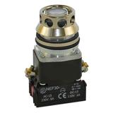 Przycisk NEF30-UKLY/24V bezbarwny