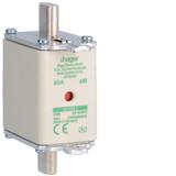 Wkładka bezp. nożowa NH00 wsk.podw. uchwyt nieiz. aM 80A 690VAC LNH00080M6A HAGER