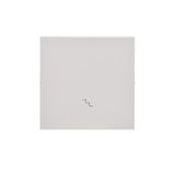 Simon 55 Klawisz pojedynczy z piktogramem /schody/ do: SW6M Jasnoszary mat