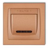 DECO Łącznik hotelowy z ramką uniwersalną pojedynczą z tworzywa DECO złoty metalik