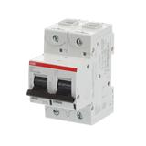 S802S-C16 Wyłącznik nadprądowy 50kA 2P C16A 2CCS862001R0164 ABB