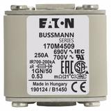 FUSE 250A 690V 1GN/50 AR UC Wkładka szybka 250A AC 690V rozmiar 1 53x69x51 mm aR IEC UL w 170M4509 E