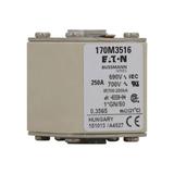 FUSE 250A 690V 1*GN/50 AR UC Wkładka szybka 250A AC 690V rozmiar 1 45x59x51 mm aR I 170M3516 EATON
