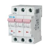 PLSM-C2/3-MW Wyłącznik nadprądowy 10kA C2A 3P 242462 EATON