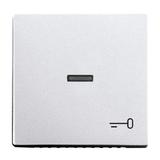 FUTURE Klawisz z symbolem "klucz" Do przycisku zwiernego aluminiowo srebrny