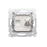 Simon 54 WMDE-011000-011AB Gniazdo ekwipotencjalne pojedyncze (moduł); antyba