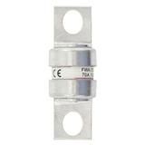 70AMP 150V AC SEMI-COND. FUSE Wkładka szybka 70A AC 150V DC 150V 25x68 mm UL FWA-70B EATON