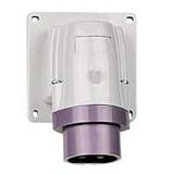 P17 Wtyczka Odbiornikowa 16 A/24 V/2P IP44 055241 LEGRAND