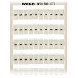 ramka z oznacznikami 100 x N