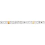 TAŚMA FLASH RGB, 150 LED, 36W BEZ  ŻELU 10MM, ROLKA 5M