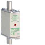 Wkładka bezp. nożowa NH000 wsk.podw. uchwyt nieiz. aM 50A 690VAC LNH000050M6A HAGER