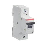 S801U-K100 Wyłącznik nadprądowy 25kA 1P K100A 2CCS881017R0637 ABB